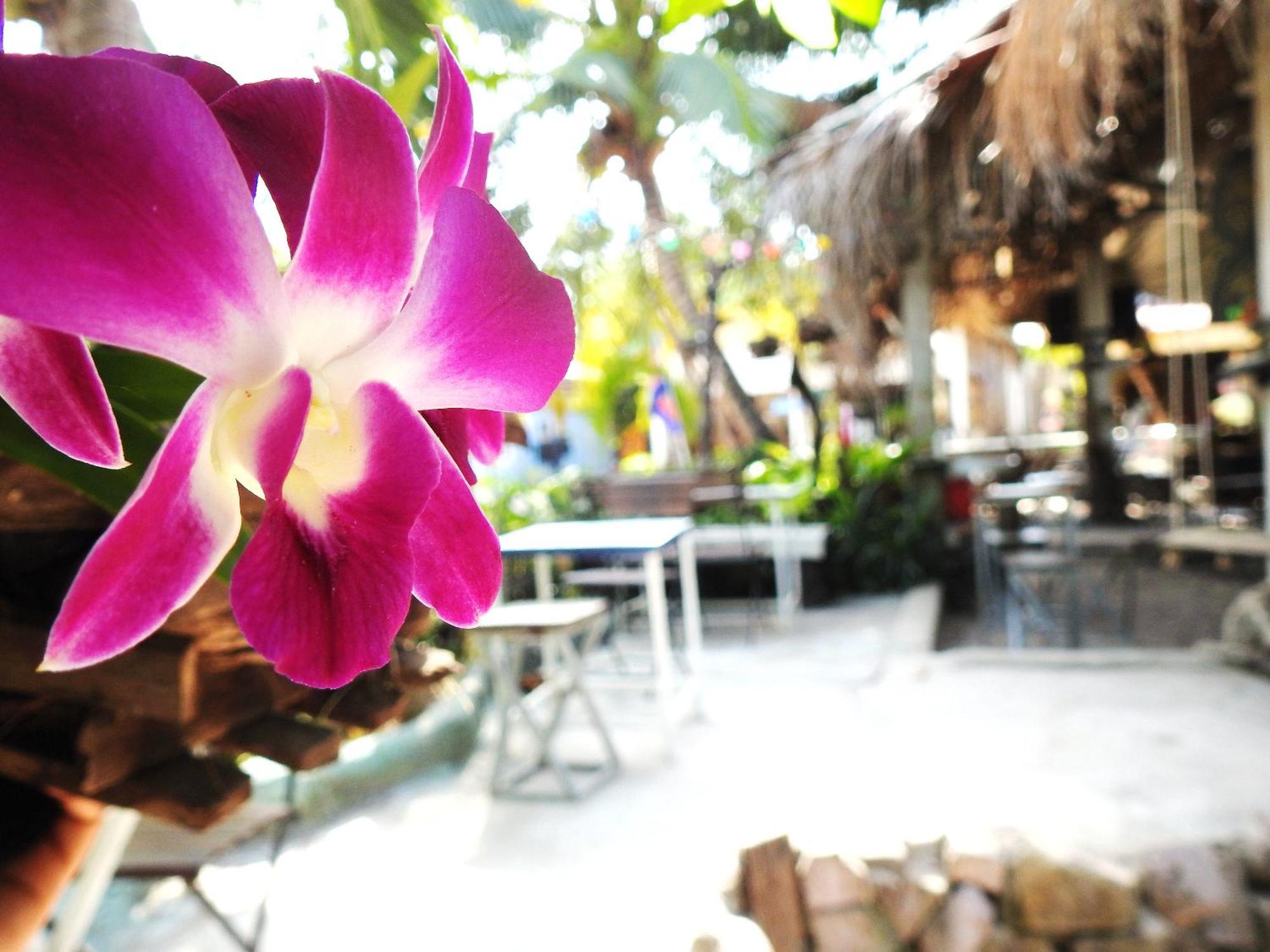 Spicy23 - M' Pai Bay Pansiyon Sihanoukville Dış mekan fotoğraf
